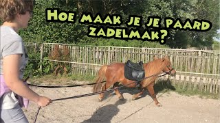 How To Je paard zadelmak maken [upl. by Miko233]