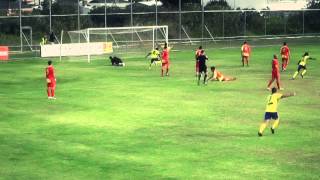 NPL WA Highlights Show Round 8 [upl. by Nnod]