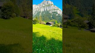 Why Switzerland is the Happiest Country in the World [upl. by Hardej]