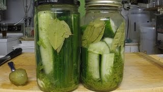 Craigs Kitchen  Fermented Pickles [upl. by Chura462]