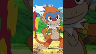 Chimchar e suas evoluções pokemon Pokemonvgc Pokemongo [upl. by Tower]