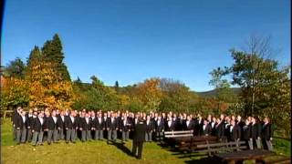 Männerchor Heidelberg  In einem kühlen Grunde 1997 [upl. by Anavlis]