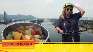 Feierlaune auf der Donauinsel Das bunte Treiben der Donauinsulaner  Die Reportage  ATV [upl. by Lempres]