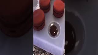 Satisfying chocolate dessert cack and ice cream shorts yummy chocolate candy youtube desert [upl. by Atinnod]