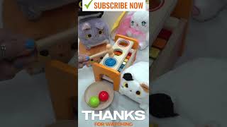 🐱🐰🔨 Ball Mallet with Xylophone xylophone ball youtubeshorts [upl. by Risser]