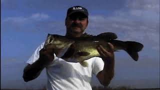 Lake Okeechobee Bass Fishing Top Water Action 4 5 6 and 8 pounders all caught on artificials [upl. by Finnie]