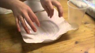 Investigation what paper towel is more absorbent [upl. by Arawaj]