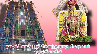 தாடிக்கொம்பு ஸ்ரீ சௌந்தரராஜ பெருமாள் திருக்கோயில் மழையில் அழகிய காட்சி perumalwhatsappstatus [upl. by Mikiso454]