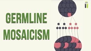 Mosaicisms  Part 1  Germline Mosaicism [upl. by Bronson465]