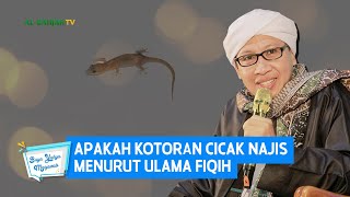 Apakah Kotoran Cicak Najis Menurut Ulama Fiqih  Buya Yahya Menjawab [upl. by Blakelee747]