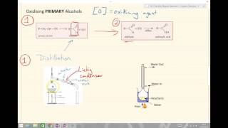 GCSE Chemistry  Alcohols 57 [upl. by Jannery272]