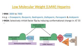 Drugs Affecting Coagulation Bleeding amp Thrombosis  1 [upl. by Oad]