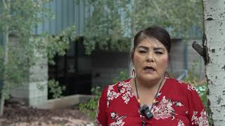 Translating ballot into Navajo a tricky proposition for Arizona officials [upl. by Atener]