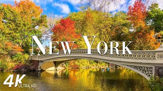 FLYING OVER NEW YORK 4K Video UHD  Calming Music With Beautiful Nature Video For Relaxation [upl. by Shari]