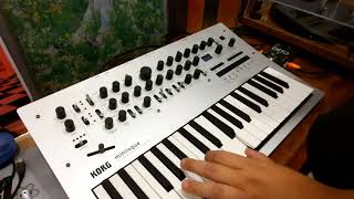 Jamuary2022  Day 10  Korg Minilogue LFO Looper Jam  quotCascading Resonancequot [upl. by Jonme]