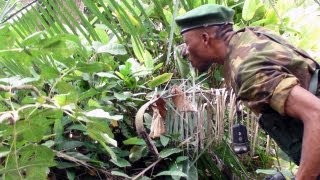 Konys Ivory LRA Poaching in Garamba National Park [upl. by Sacrod514]