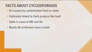 40 cases of Cyclosporiasis confirmed in Maryland and Virginia [upl. by Innep181]