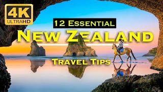 12 Essential NEW ZEALAND TRAVEL Tips  WATCH BEFORE You Go [upl. by Godfrey]