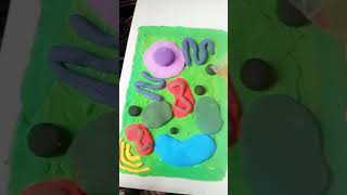 Model of plant cell by clayMinRim [upl. by Ordnas]