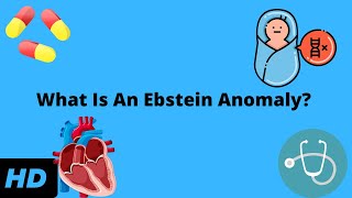 What Is An Ebstein Anomaly Heres Everything You Need To Know [upl. by Oirrad]