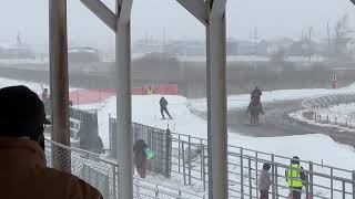 Skiers Pulled by Horses Showcase Their Skills During Skijoring Event [upl. by Eniala818]