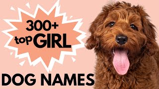 300 Unique Female Dog Names  Girl Dog Names [upl. by Peter920]