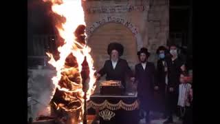 Lag Baomer 5780 With Biala Rebbe Of Bnei Brak [upl. by Miguela]