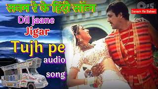 दिल जाने जिगर तुझ पे  Sanam Re trolley ka audio song ll Dil Jaane Jigar Tujh pe new Hindi song 2024 [upl. by Charissa]