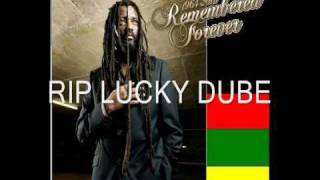 Lucky Dube  Nobody Can Stop Reggae [upl. by Welcher]