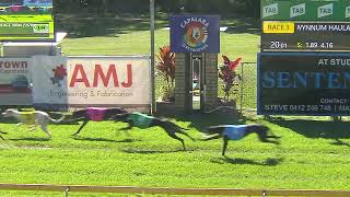 CapalabaThursday23052024Race3 [upl. by Enelrae570]