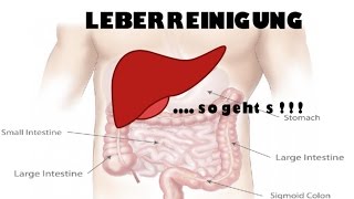 Leberreinigung und Entgifungso gehts [upl. by Featherstone]