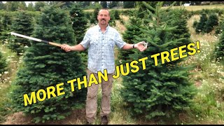 Starting a small acreage Christmas tree farm Things to consider before planting [upl. by Ecinuahs970]