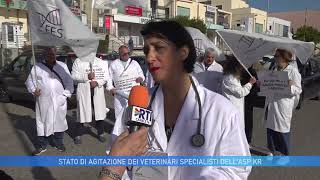 CROTONE STATO DI AGITAZIONE DEI VETERINARI SPECIALISTI DELL ASP [upl. by Dobrinsky]