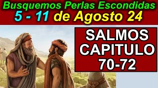 Busquemos PERLAS ESCONDIDAS de esta semana 511 de Agosto 2024 Comentarios [upl. by Tahmosh]