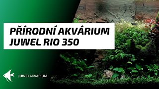 Přírodní akvárium Juwel Rio 350  Relaxační video [upl. by Eniaral778]