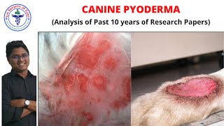 Pyoderma  Canine Diseases  Lecture 01 [upl. by Ahtrim]