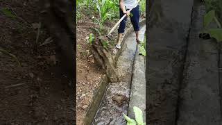 Use A Simple Tool To Clean The Rural Ditch [upl. by Nnairahs]