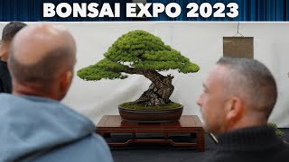 BONSAI EXPO 2023 [upl. by Nazay]