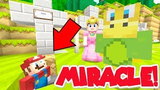 Minecraft  Super Mario Series  Mario Comes Back To Life 328 [upl. by Eidas769]