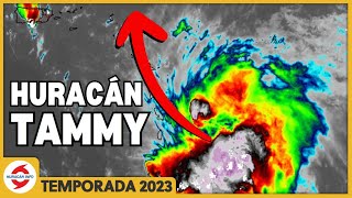 Huracán Tammy se acerca a las Antillas Menores Nuevo disturbio hacia Nicaragua [upl. by Lester195]