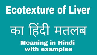 Ecotexture of Liver Meaning in Hindi [upl. by Stine]