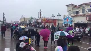 The 34th annual Doo Dah Parade  2019 [upl. by Keele940]