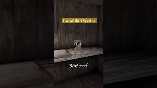 Use of Bird seed in Granny game 💀grannygranny1granny2 granny3 grannygame grannytipsandtricks [upl. by Thorsten]