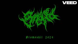 Gnawed  Gnawing Impaled Bodies  Promoshit 2024 [upl. by Enimrej355]