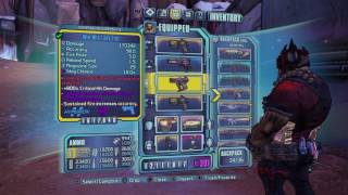 Borderlands 2  BEST PAIRS OF GUNS FOR THE GUNZERKER [upl. by Dorfman]