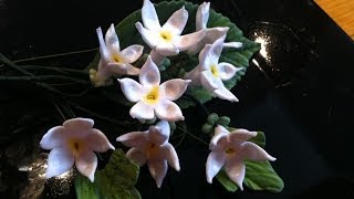 How to Make a Gum Paste Stephanotis [upl. by Egin]