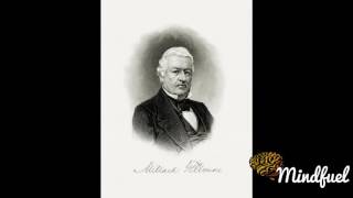 Millard Fillmore Documentary [upl. by Karwan]