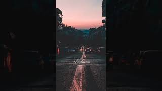 Dildara Dildara  Lofi Mix  Aesthetic Status  RaOne  Ringtone  Lyrics  Shafqat Amanat Ali [upl. by Mcdade]