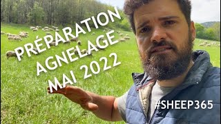 Début AGNELAGE mai 2022 130 [upl. by Sinai]