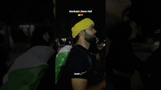 Karbala jana hai 🙌 karbala viralvideo dailyshorts paighamekarbala trending youtubeshorts [upl. by Kwapong968]